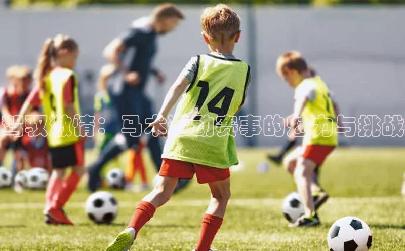 驾驭激情：马术运动赛事的魅力与挑战