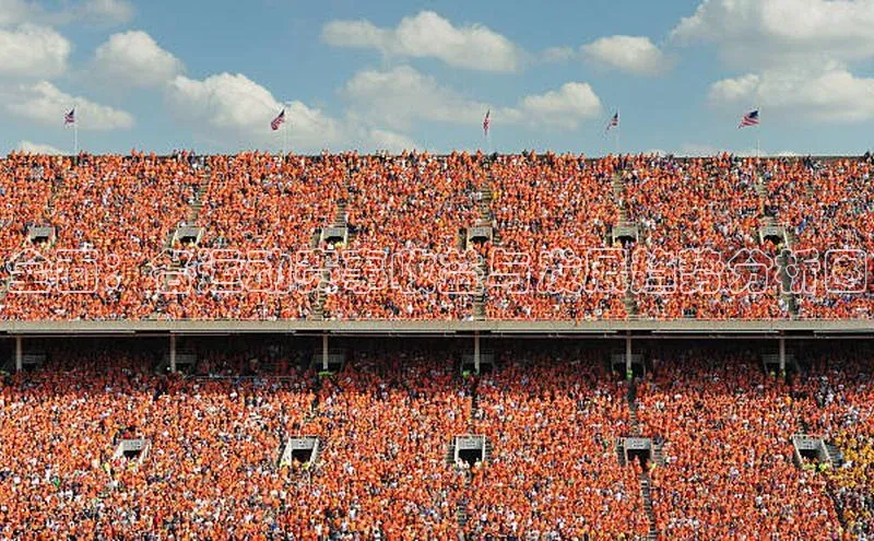 全面：各运动赛事收益与发展趋势分析图