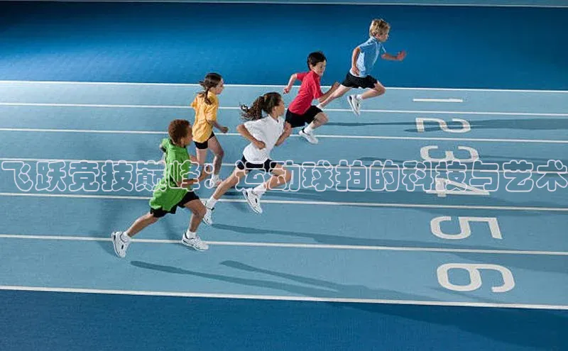 飞跃竞技巅峰：运动球拍的科技与艺术