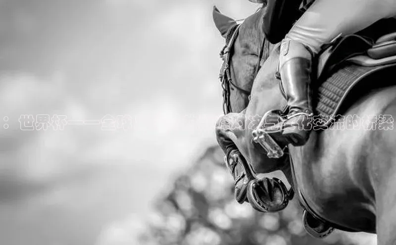 ：世界杯——全球足球界的巅峰对决与文化交流的桥梁