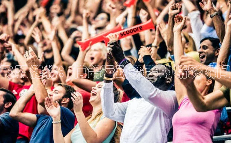 飞羽健将：信鸽运动赛事的精彩瞬间