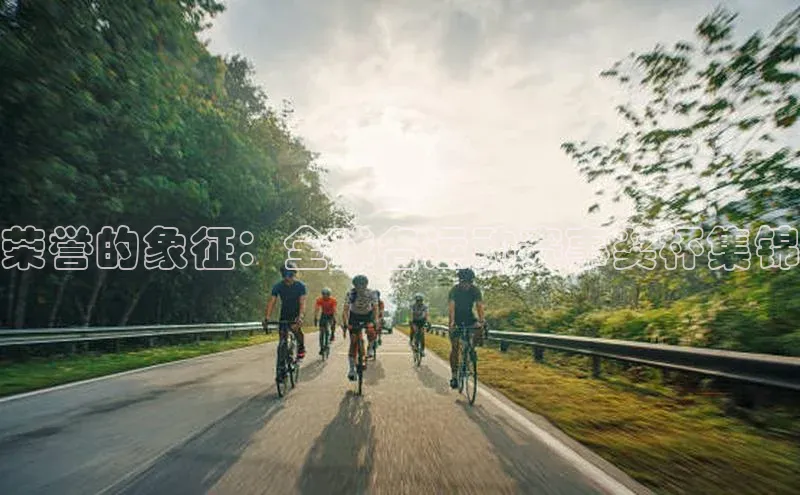 荣誉的象征：全球各运动赛事奖杯集锦