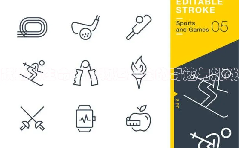 跃动的生命：动物运动会的奇迹与挑战