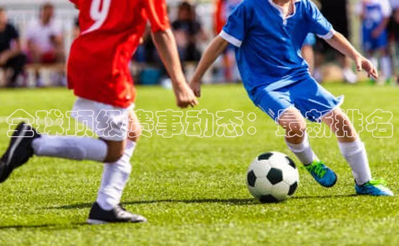 全球顶级赛事动态：最新排名