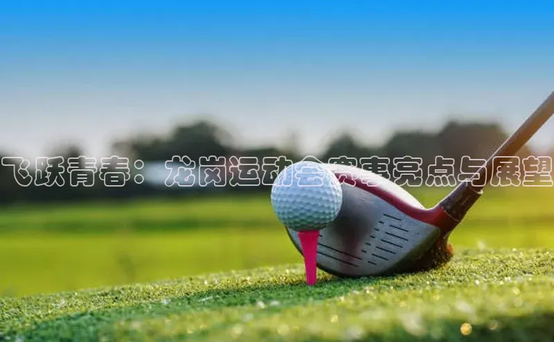 飞跃青春：龙岗运动会赛事亮点与展望