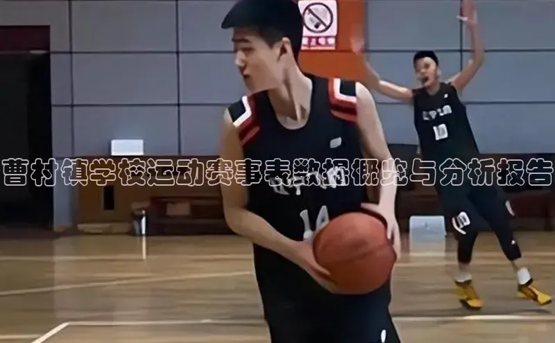 曹村镇学校运动赛事表数据概览与分析报告