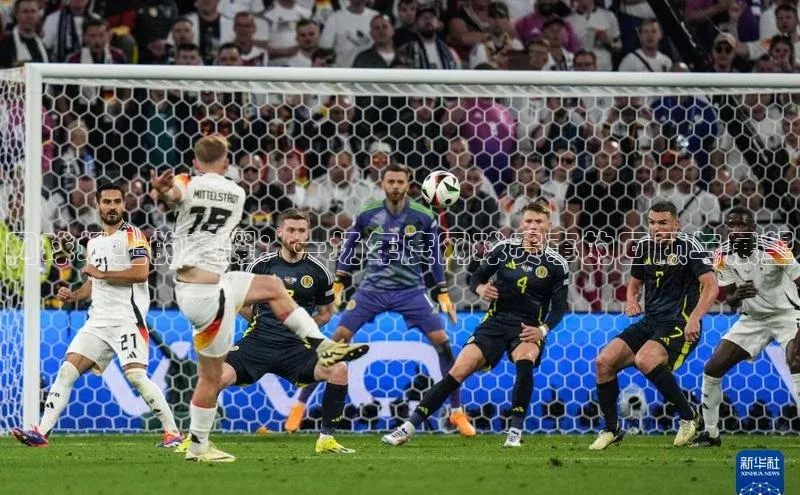 网球场上的荣耀：一场年度网球赛事的回顾与展望